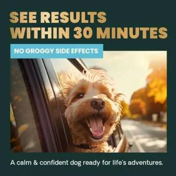VETRISCIENCE Calm & Confident Calming Chews for Dogs