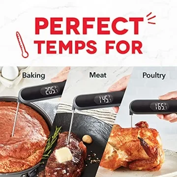Dash Precision Quick-Read Meat Thermometer for Perfect Cooking