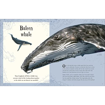 An Anthology of Intriguing Animals for Kids