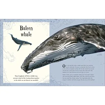 An Anthology of Intriguing Animals for Kids