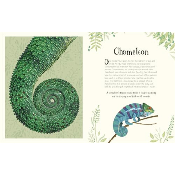 An Anthology of Intriguing Animals for Kids