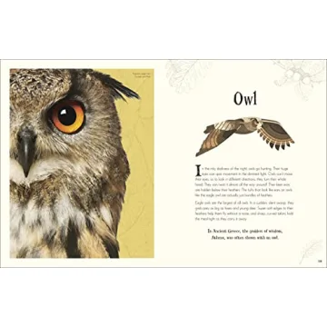 An Anthology of Intriguing Animals for Kids