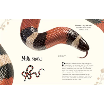 An Anthology of Intriguing Animals for Kids