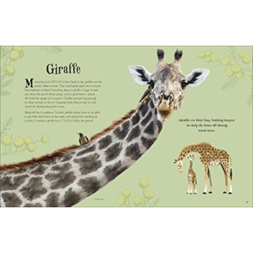 An Anthology of Intriguing Animals for Kids