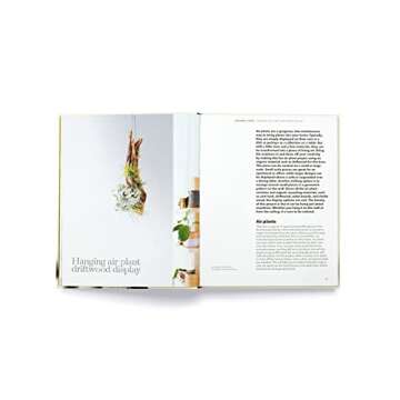 How to plant a room: and grow a happy home