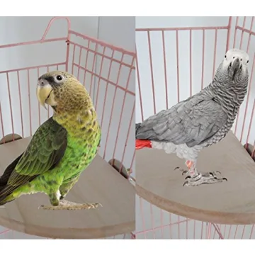 Niteangel Wooden Platform for Birds - Safe & Stylish