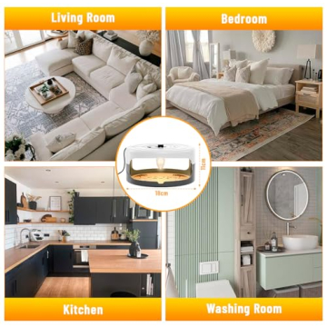 Indoor Flea Traps - Safe & Effective Pest Control