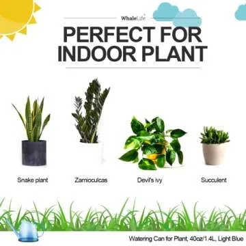 WhaleLife Indoor Watering Can for House Bonsai Plants (1.4L, Light Blue)