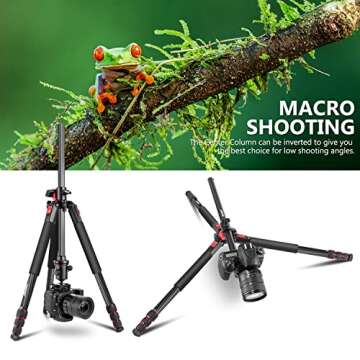 NEEWER 72 Inch Carbon Fiber Monopod Tripod with Rotating Center Column and Arca Type Plate 360° Ball Joint Lightweight Horizontal Tripod for DSLR Camcorder up to 33 lbs