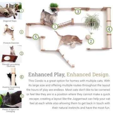 CatastrophiCreations Juggernaut Modern Cat Condo for Large and Small Cats, with Bridgewall, Hammocks...