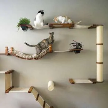Juggernaut Cat Condo for Cats of All Sizes and Styles