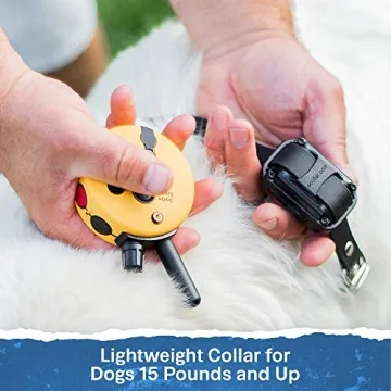 E-collar Mini Educator Trainer Remote Waterproof and Adjustable Collar