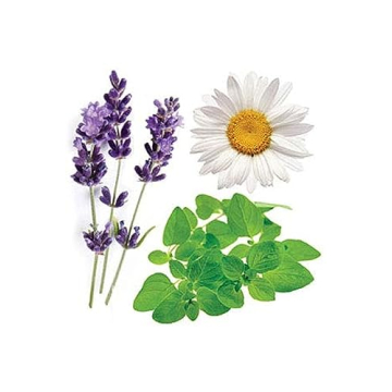 doTERRA Serenity Essential Oil Restful Blend - 15 ml