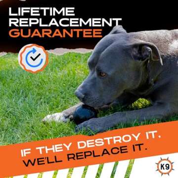 Monster K9 Indestructible Dog Ball for Aggressive Chewers