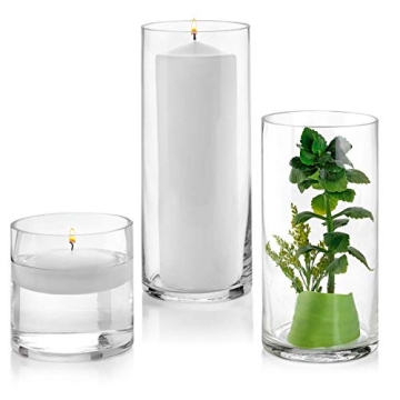 Set of 12 Multi-use Glass Cylinder Vases for Weddings