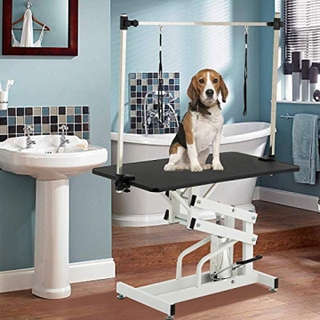 SUNCOO Hydraulic Pet Grooming Table with Adjustable Arm