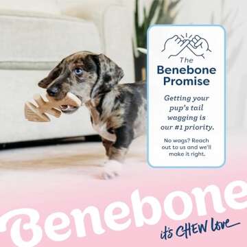 Benebone Puppy Fishbone Dog Chew Toys, Softer for Modest Chewers, Made in USA