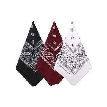 Bycc Bynn 3 Pack Pure Cotton Paisley Pattern Bandanas Square Scarf Headwear (Black + Burgundy + Whit...