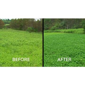 Whitetail Institute Slay Selective Broad-Leaf Weed Control Herbicide Specifically Developed for Deer Food Plots, 4 Ounces (1 Acre)
