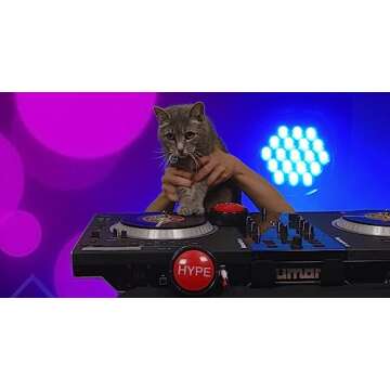 Hype Button | Hip Hop Air Horn Sound Effect Button (Batteries Included) Stocking Stuffer Back to School Classroom Teacher Office Desk Sales Marketing Gag Nut Funny Toy Class