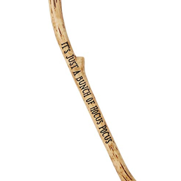 Spirit Halloween Broom for Hocus Pocus Costumes