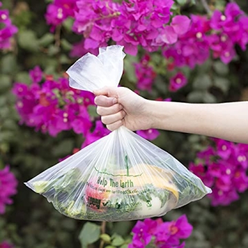 Second Nature Bags - 10L Certified Compostable Kitchen Waste, 100 Count