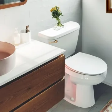 Korky StrongARM Tank Lever Brushed Gold Finish for All Toilets