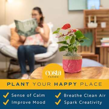 Vibrant Costa Farms Bromeliad Indoor Plant, Easy Care Houseplant