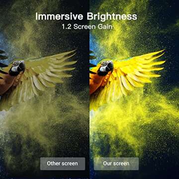 Amada 14 Feet Outdoor Inflatable Movie Screen for Fun