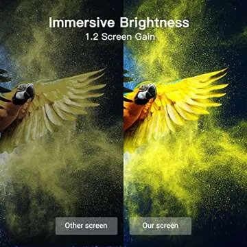 Amada 14 Feet Outdoor Inflatable Movie Screen for Fun