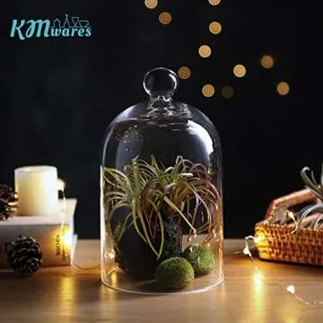 KMwares Clear Glass Display Dome Cloche Bell Jar Tabletop Decorative Case Covered Plants/Food (5.1"x8.9")