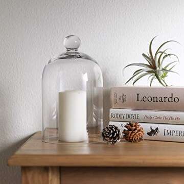 KMwares Clear Glass Display Dome Cloche Bell Jar Tabletop Decorative Case Covered Plants/Food (5.1"x8.9")