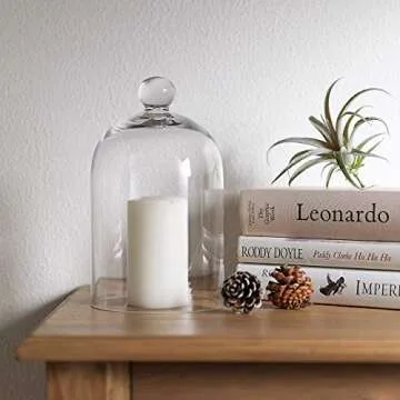 KMwares Clear Glass Display Dome Cloche Bell Jar Tabletop Decorative Case Covered Plants/Food (5.1"x8.9")