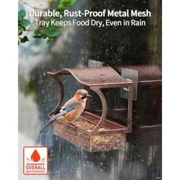 Window Bird Feeder, Desgully Metal Window Bird Feeder, Window Bird Feeders with Strong Suction Cups, Super Adhesive Sheet×4，Large Outdoor Bird Feeder, Bird Watching Gift (Curved)