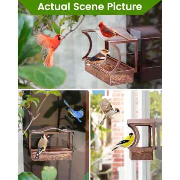 Window Bird Feeder, Desgully Metal Window Bird Feeder, Window Bird Feeders with Strong Suction Cups, Super Adhesive Sheet×4，Large Outdoor Bird Feeder, Bird Watching Gift (Curved)