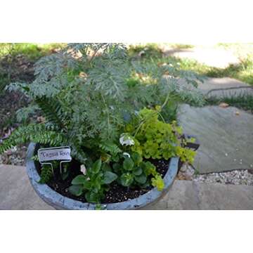 Bosmere Small-Faced Zinc Metal Plant Marker with Carbon Pencil, 5" High (Pack of 20)