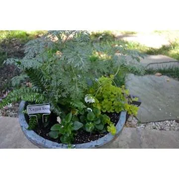 Bosmere Small-Faced Zinc Metal Plant Marker with Carbon Pencil, 5" High (Pack of 20)