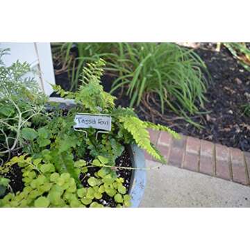 Bosmere Small-Faced Zinc Metal Plant Marker with Carbon Pencil, 5" High (Pack of 20)