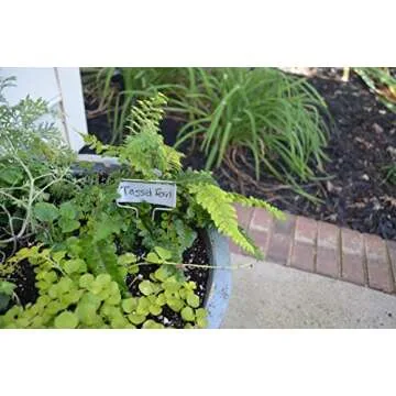 Bosmere Small-Faced Zinc Metal Plant Marker with Carbon Pencil, 5" High (Pack of 20)