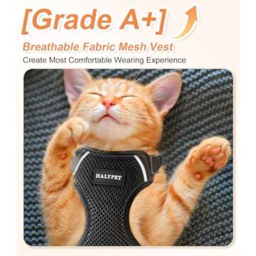 Halypet Cat Harness and Leash Set [ MAX Safety Third Generation ] Escape Proof Soft Adjustable Cat Leash Breathable Comfortable Vest Easy to Wear Kitten Harness for Outdoor Walking Black