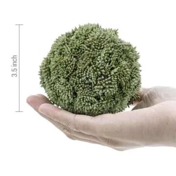 MyGift Decorative Boxwood Topiary Set of 4 - Maintenance-Free