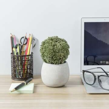 MyGift Decorative Boxwood Topiary Set of 4 - Maintenance-Free