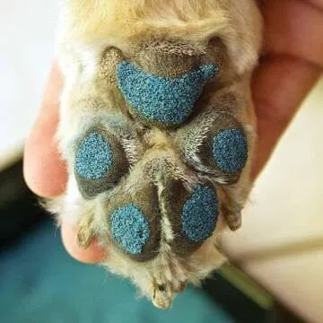 PawFriction Instant Traction for Senior Dogs Kit