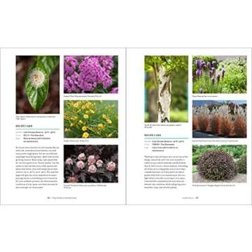 Field Guide to Outside Style: Design and Plant Your Perfect Outdoor Space