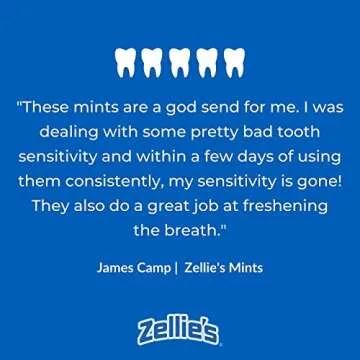 Zellie's | 100% Xylitol Sugar Free Cool Mint Breath Mints | Non-GMO, Low-Calorie, Gluten Free, Vegan & Kosher Mints (250 Count - Pack of 1)