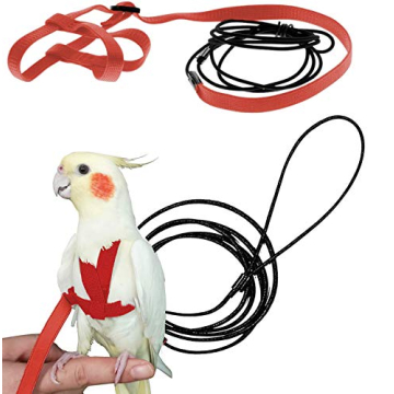 CIEOVO Bird Harness - Adjustable Nylon Leash for Outdoor Fun