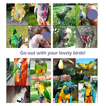 CIEOVO Adjustable Bird Harness for Cockatiels and Doves