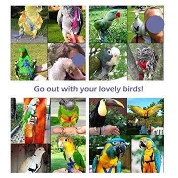 CIEOVO Adjustable Bird Harness for Cockatiels and Doves