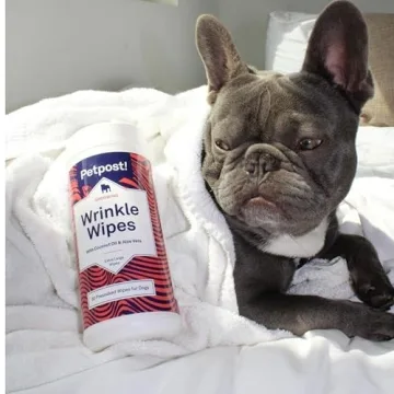 Petpost Dog Wrinkle Wipes - XL Coconut Oil Solution - 60 ct