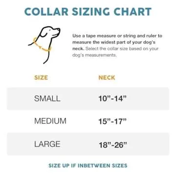 Embark Urban Dog Collar – Stylish & Durable Nylon Dog Collars for Small Dogs, Comfortable Pet Coll...